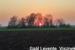 Gál-Levente-9-D