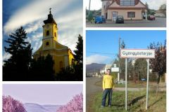 Somogyi-Bence-9e